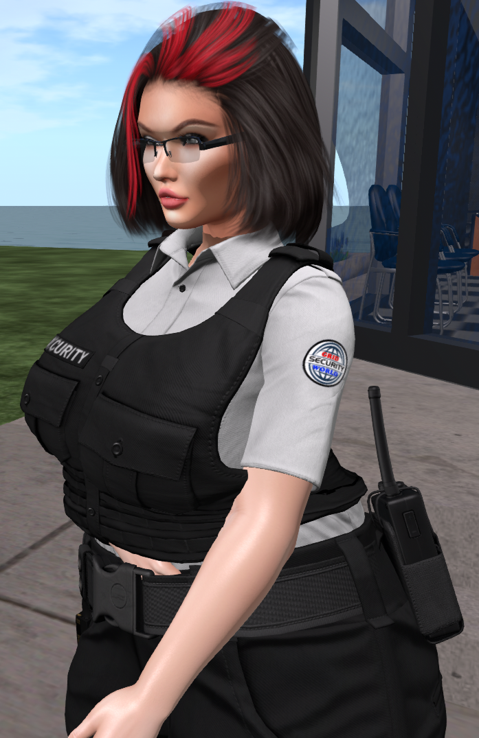 GridWorld Security Officers